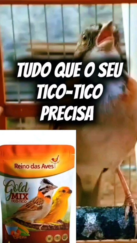 Tico-tico gold Mix #ticotico #farinhada #pássaro #coleiro #Premium