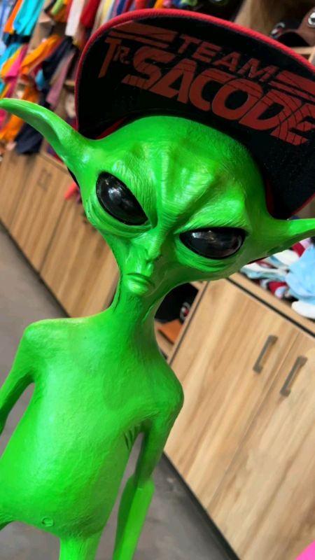 BONECO ALIENÍGENA EXTRATERRESTRE CAMINHÃO PARA CAMINHÃO CHOFER QUALIFICADO ET #chofer #alienigena #extraterrestre #caminhao #choferqualificado #et