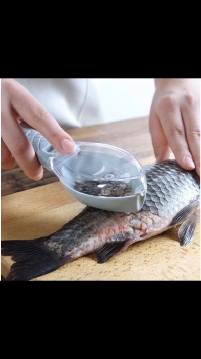 #descamador #peixe #tiraescamas descamador de peixe tira escamas