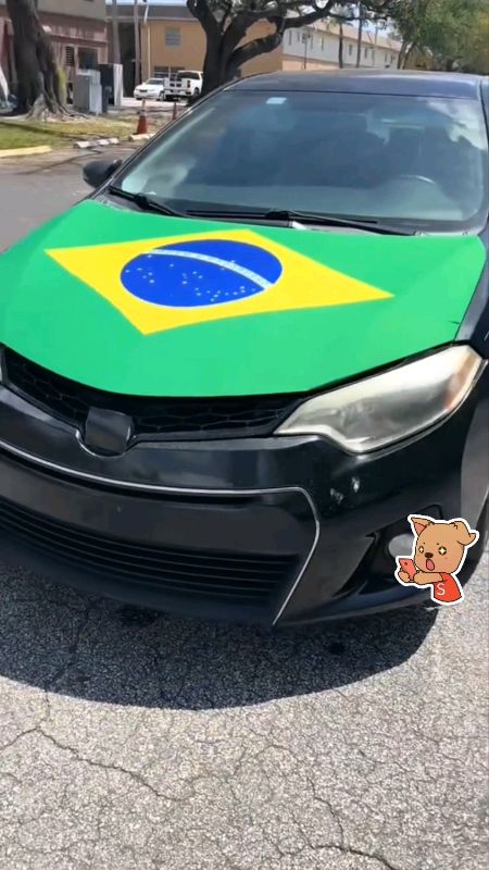 Bandeira do Brasil para Capô de Carro