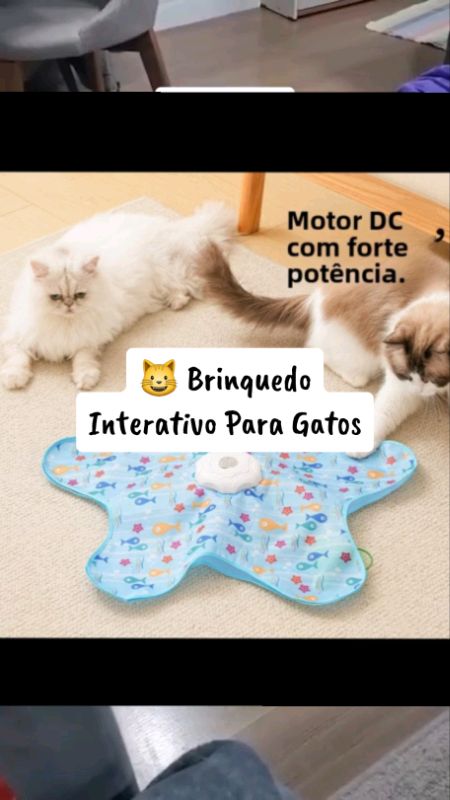 Brinquedo Interativo Para Gatos Anti Tédio Estimula Caça e Diversão #gato  #pet #catlover #gatinho #petshop  #gateiro #achadinhosshopee  #ShopeeVideo